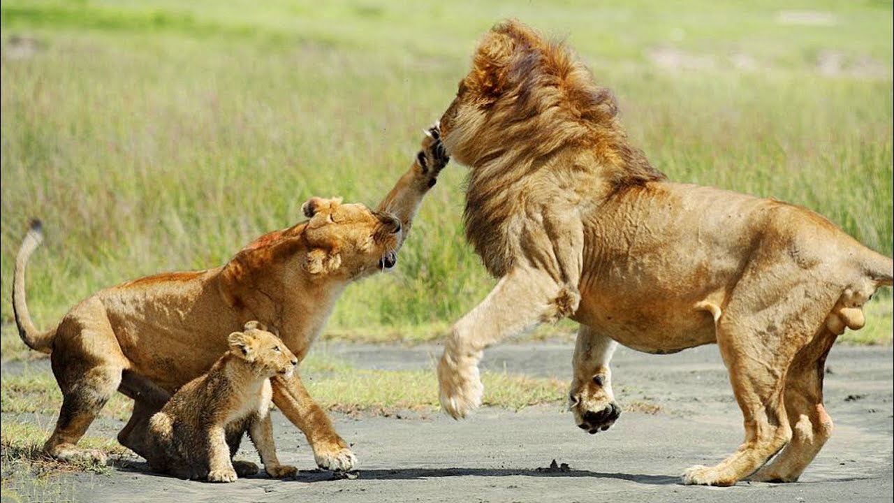 Don’t Mess With Mama